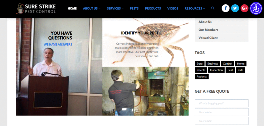 seo web design for pest control image
